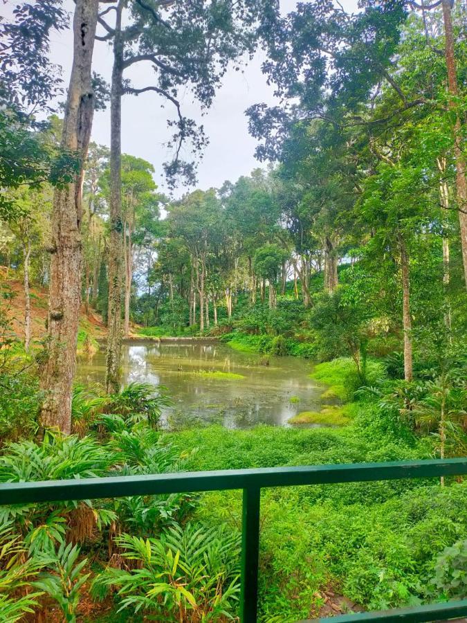 Singletree Resort, Munnar Kültér fotó